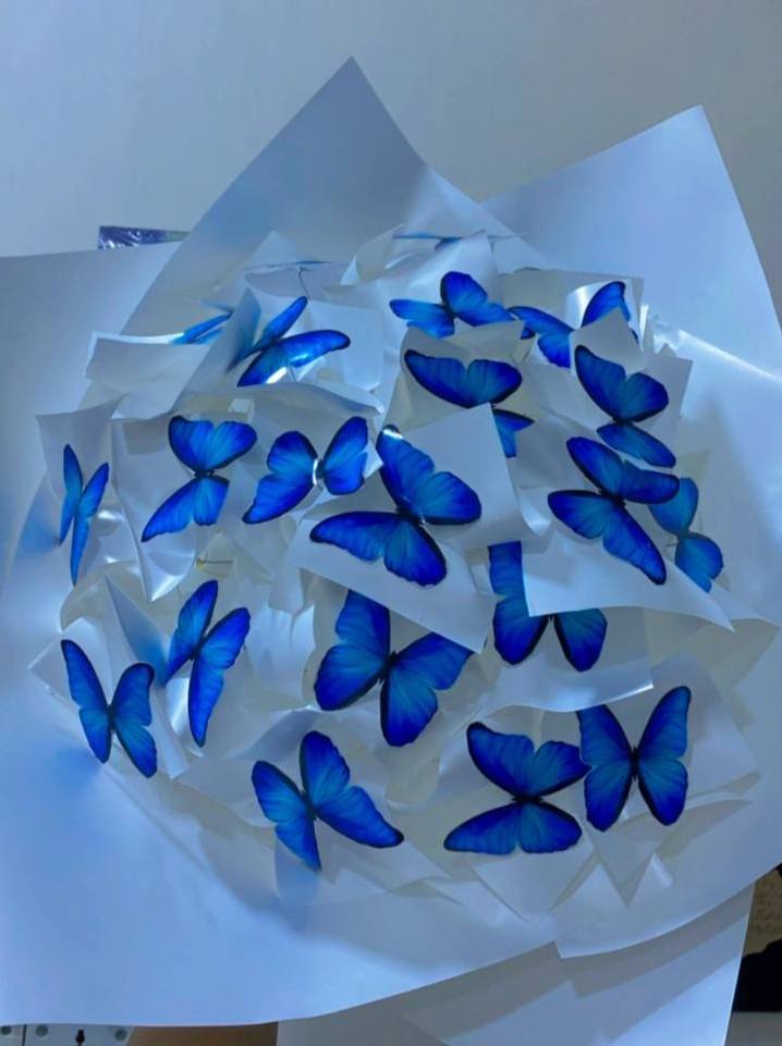 صورة المنتج